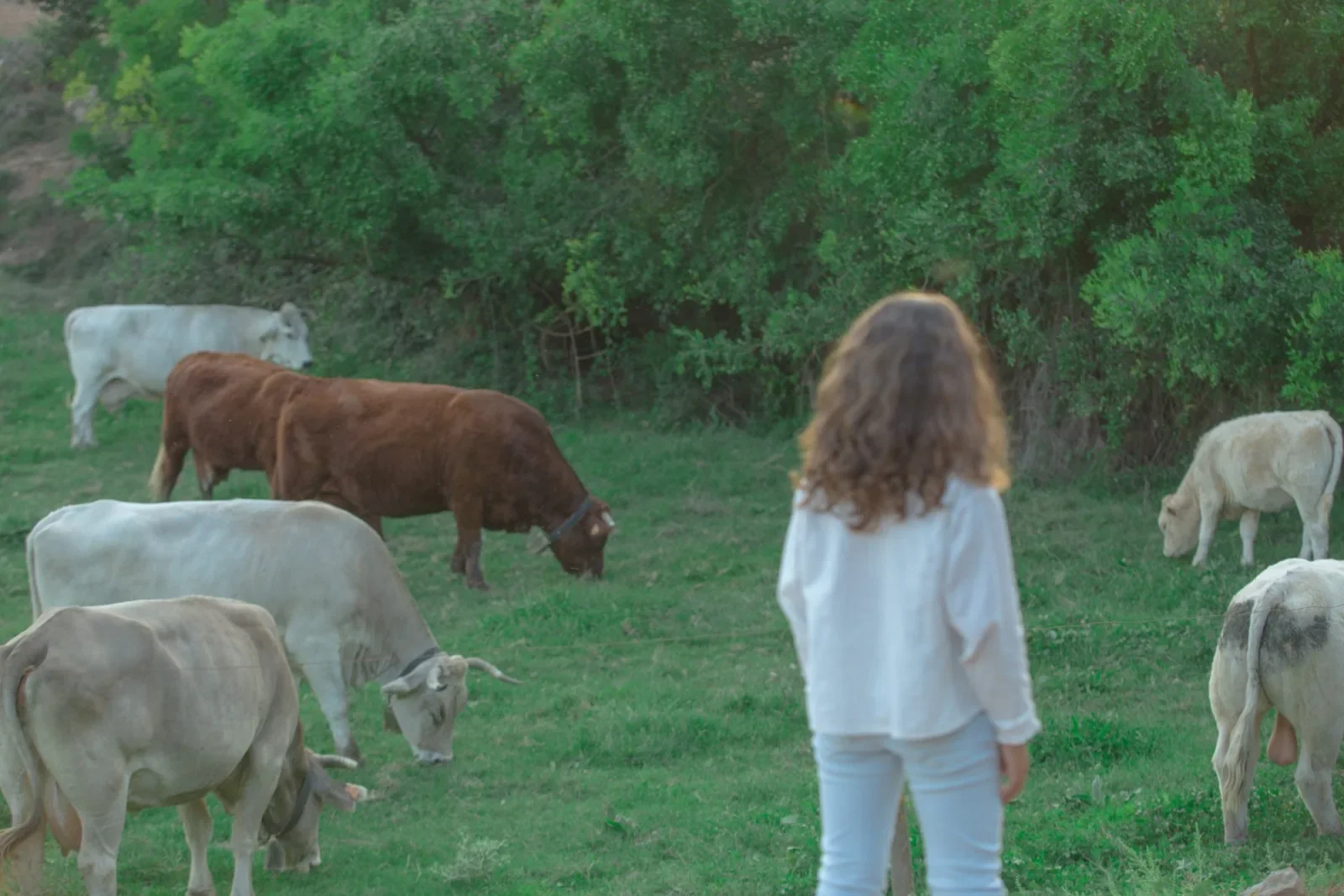 HORARIOS DE VISITA Para visitar la granja es imprescindible tener cita previa . El horario