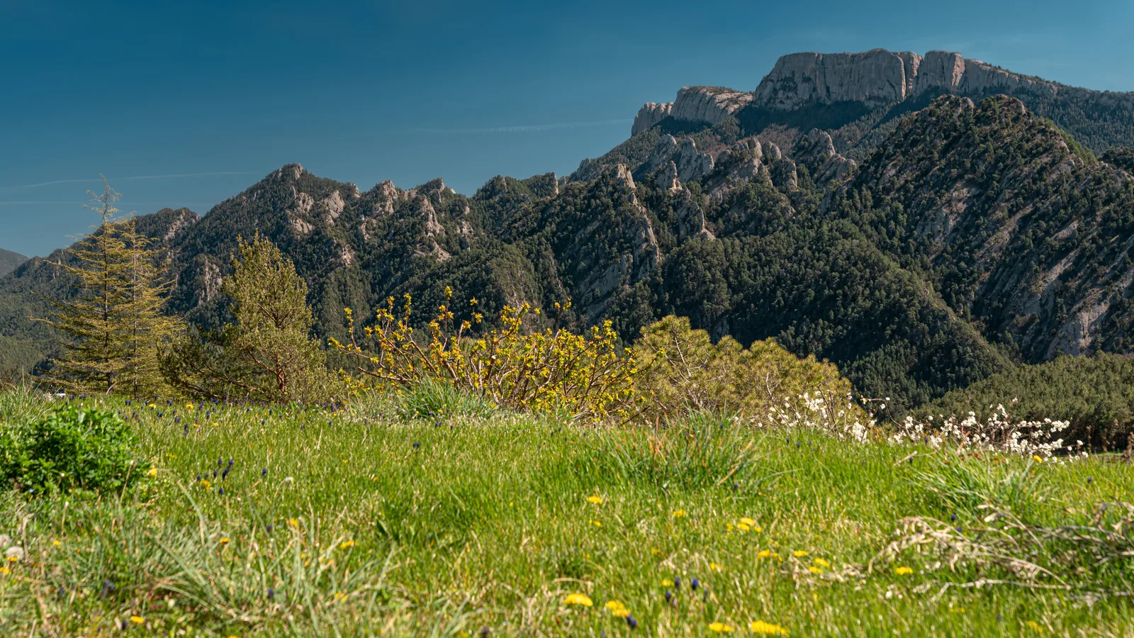 Vall de Lord y Sant Llorenç de Morunys